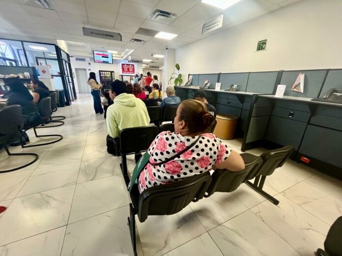 WhatsApp Image 2024-04-23 at 11.21.59 AM