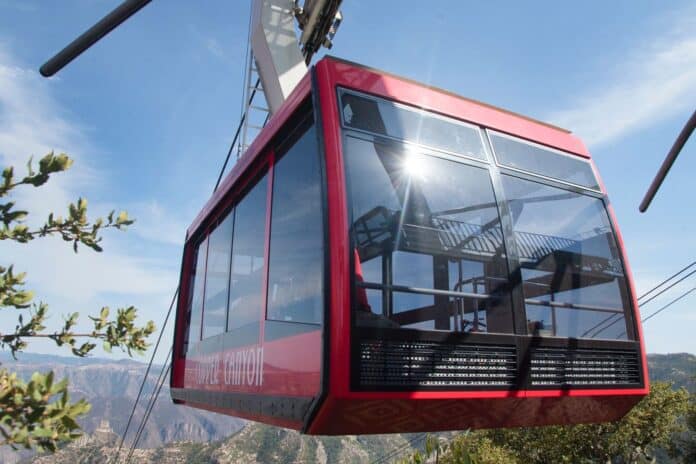 WhatsApp Image 2025-08-09 at 10.37.07 AM(1)