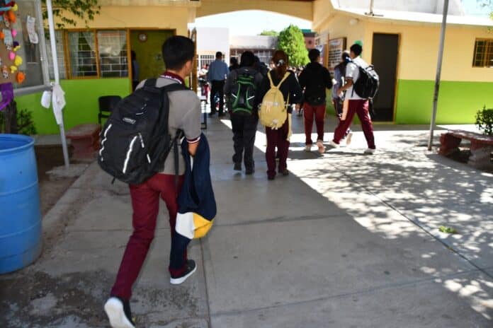 WhatsApp Image 2026-01-08 at 10.17.51 AM