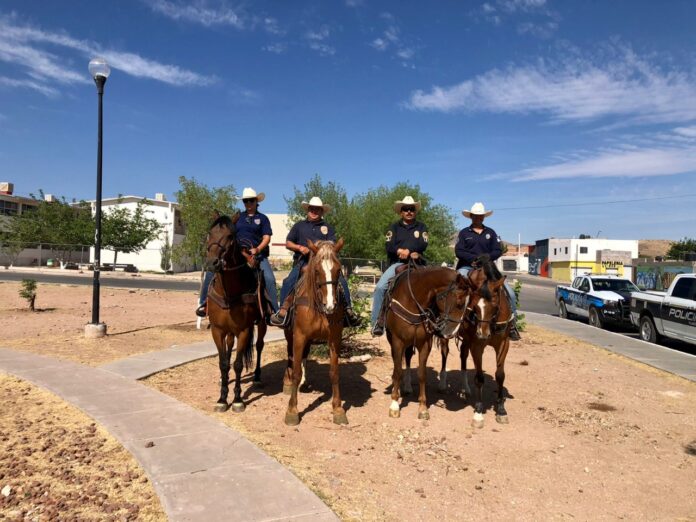 80bd6960-47e5-43af-8f72-3fdb7017c5ac