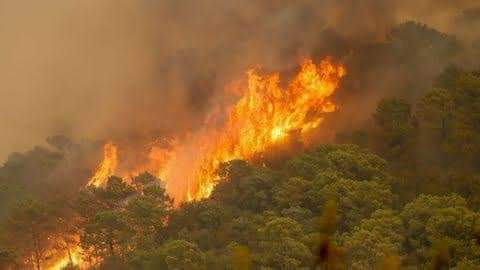 FB_IMG_1652571943299