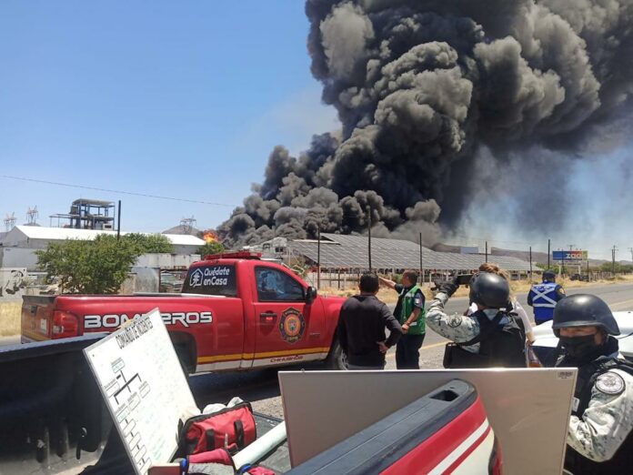 WhatsApp Image 2022-05-12 at 3.28.27 PM