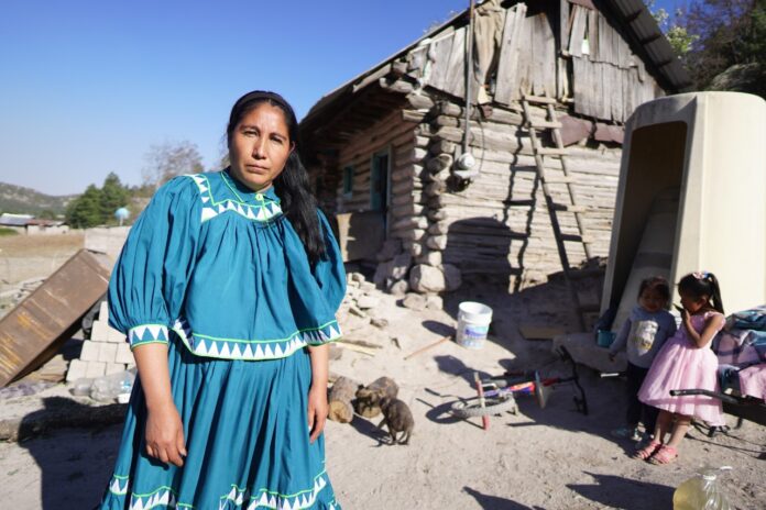 WhatsApp Image 2022-05-13 at 9.04.02 AM