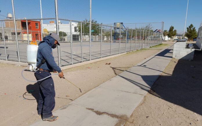 WhatsApp Image 2022-05-17 at 3.16.34 PM