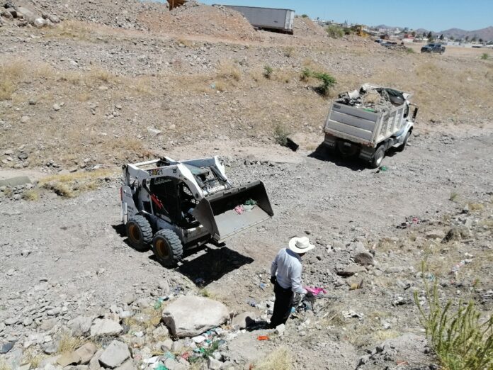 WhatsApp Image 2022-05-19 at 10.18.39 AM