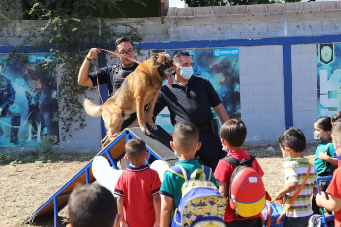 4f464813-af4c-4011-a9fb-f5d17aa2a49e