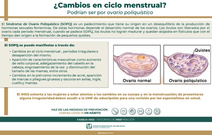 WhatsApp Image 2022-06-02 at 8.16.47 AM