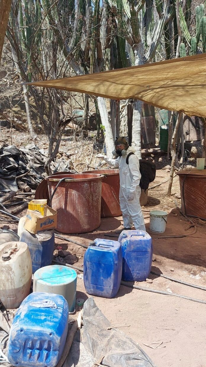 WhatsApp Image 2022-06-06 at 3.26.20 PM