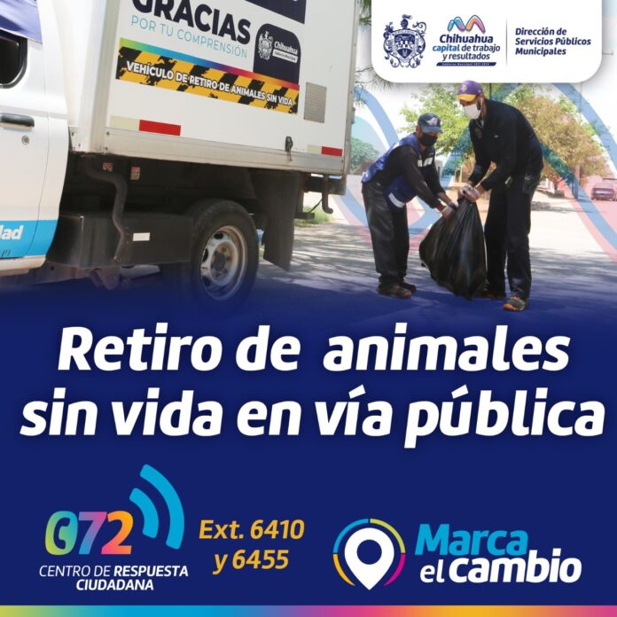 WhatsApp Image 2022-06-09 at 9.38.06 AM