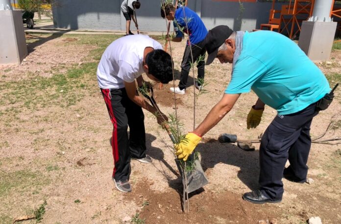 c22764a9-f617-4904-b8b3-4792286d5ac8