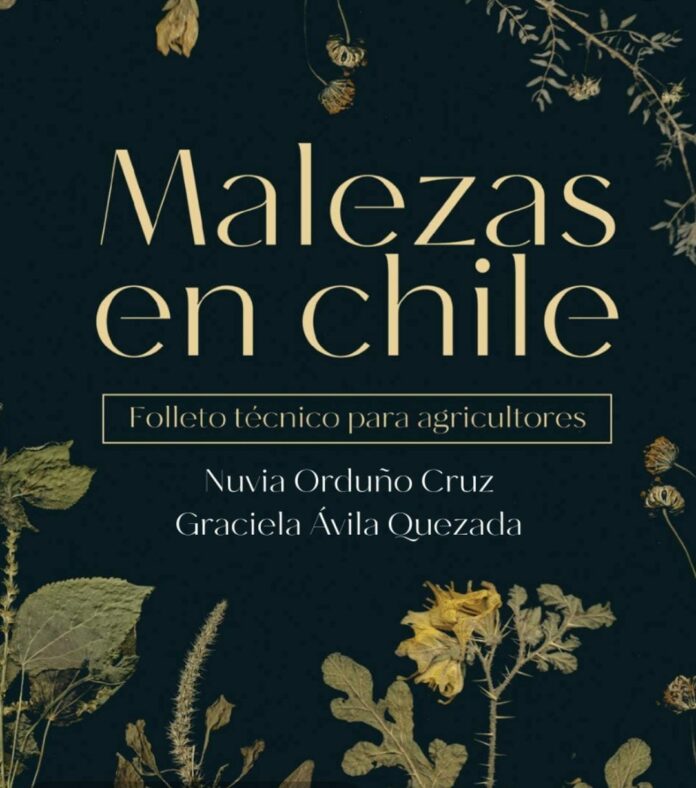 2a17c061-78f7-4353-9757-323c3879bb5b