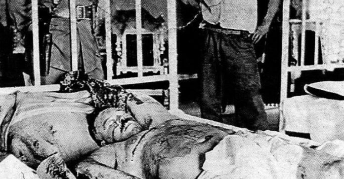 f768x400-488970_532873_5050