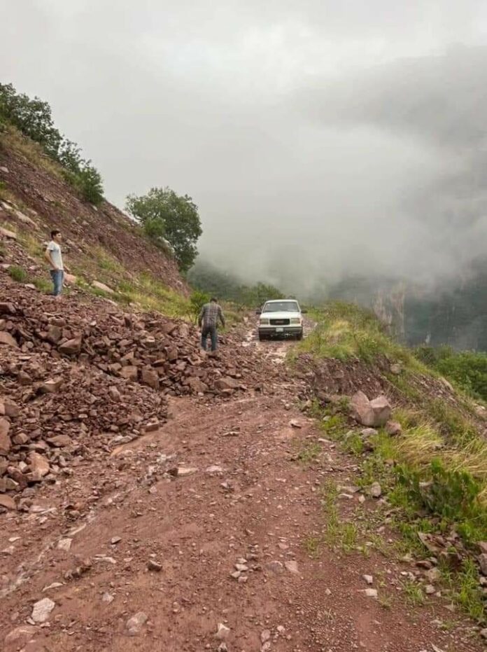 d377e8b3-629d-42ba-a1da-474b23a876d3