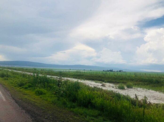 eebfd796-472e-4ad9-bd1c-aa3215fe86e1