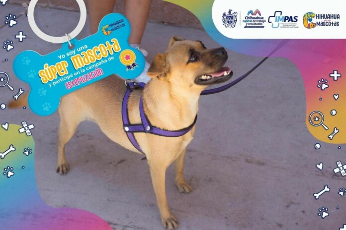 WhatsApp Image 2022-09-11 at 9.50.17 AM