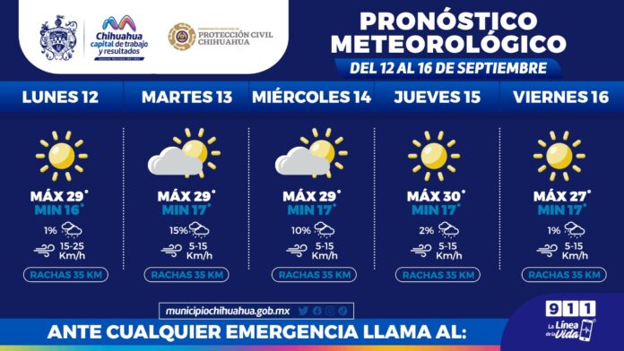 WhatsApp Image 2022-09-12 at 9.30.49 AM