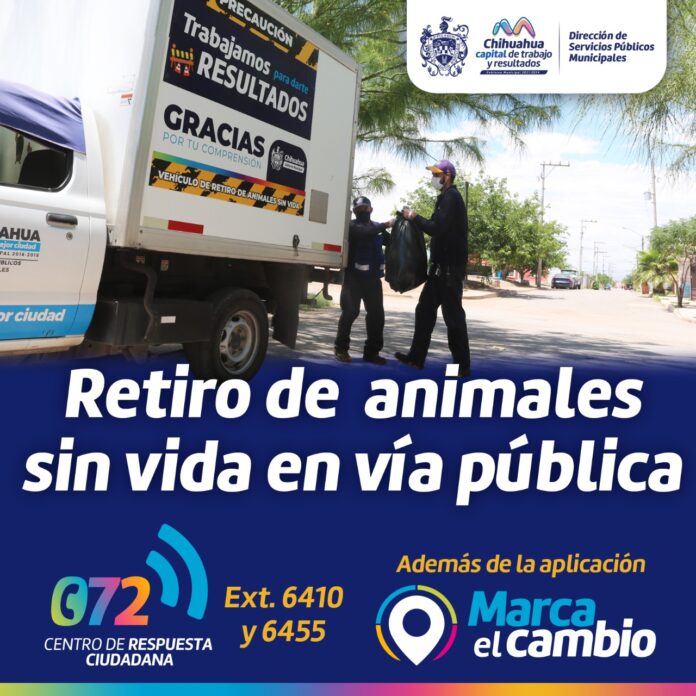 WhatsApp Image 2022-09-20 at 10.28.13 AM