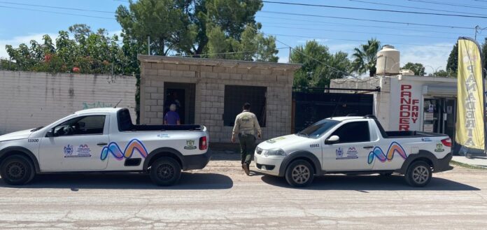 WhatsApp Image 2022-09-26 at 10.34.20 AM