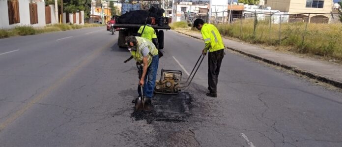 WhatsApp Image 2022-10-17 at 12.56.30 PM