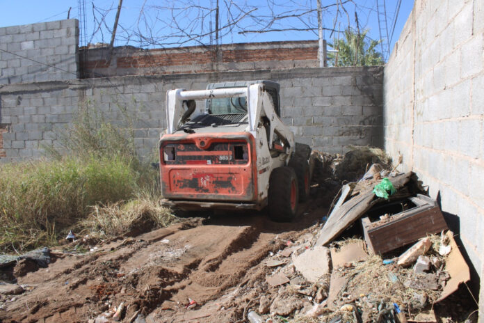 WhatsApp Image 2022-11-17 at 8.43.45 AM