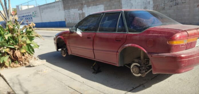 WhatsApp Image 2022-11-29 at 9.16.36 AM