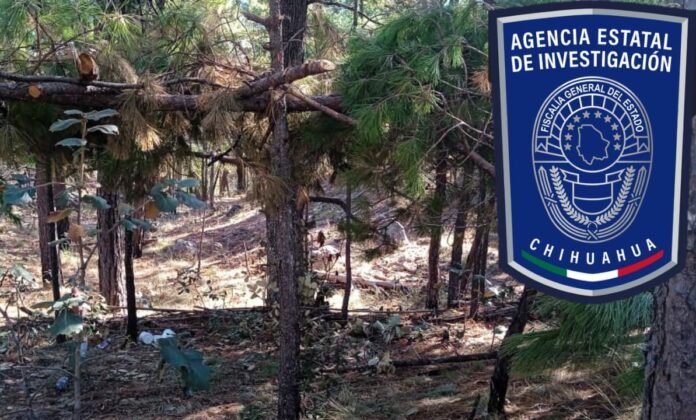 WhatsApp Image 2022-12-04 at 12.54.01 PM