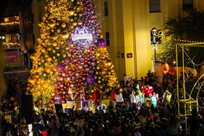 WhatsApp Image 2022-12-08 at 8.21.24 PM (1)