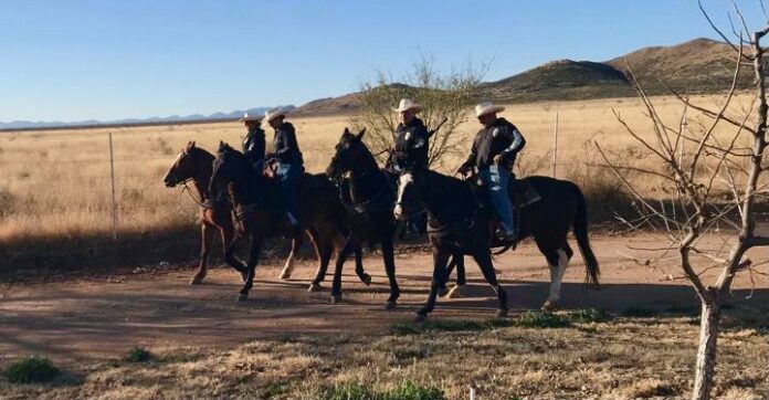 WhatsApp Image 2023-01-16 at 8.48.40 AM