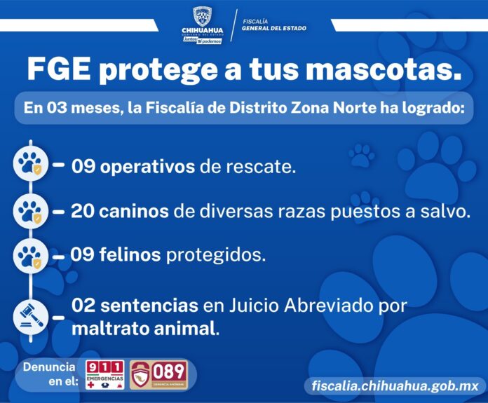 WhatsApp Image 2023-04-13 at 9.20.49 AM