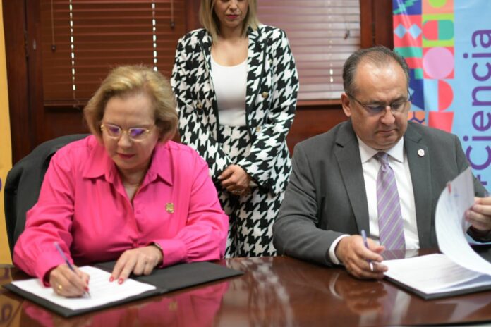 WhatsApp Image 2023-05-29 at 10.28.16 AM