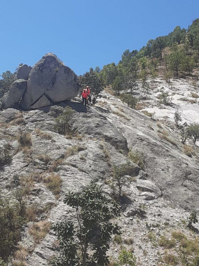 WhatsApp Image 2023-07-16 at 12.04.03 PM