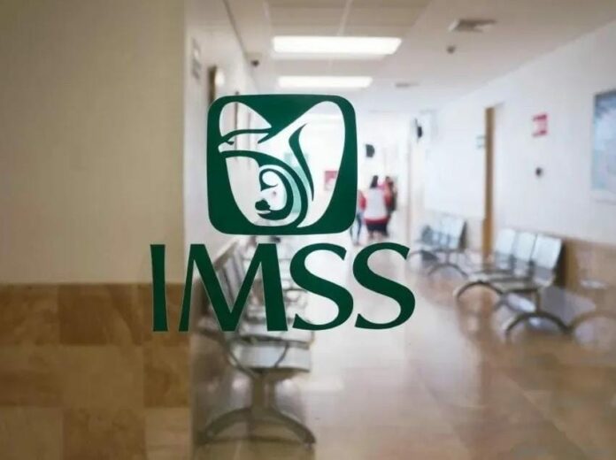 WhatsApp Image 2023-07-16 at 12.46.25 PM