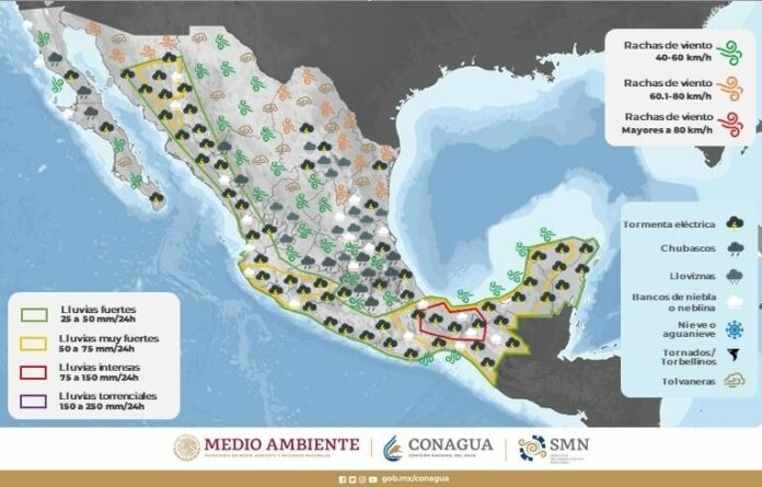 WhatsApp Image 2023-07-21 at 11.46.10 AM