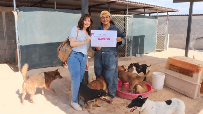 WhatsApp Image 2023-07-24 at 11.03.09 AM