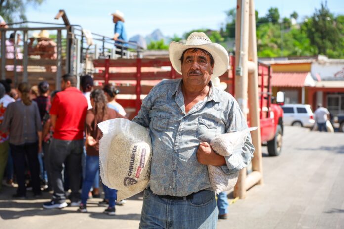 WhatsApp Image 2023-07-31 at 1.03.29 PM