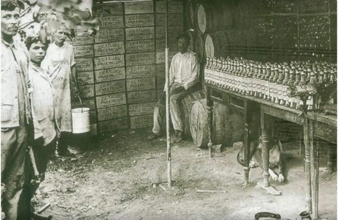 54851505-37f8-4e2e-9fb4-12a156fb4d82