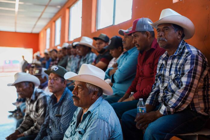 WhatsApp Image 2023-08-03 at 9.20.54 AM