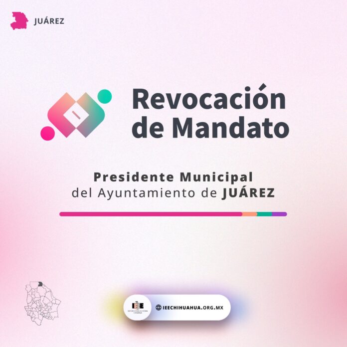 WhatsApp Image 2023-08-10 at 3.04.44 PM