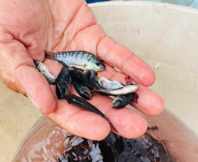 WhatsApp Image 2023-08-14 at 7.09.03 PM