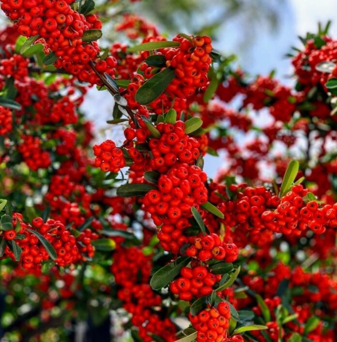 dd924b3a-64da-46bb-8e7d-318469fa1f61