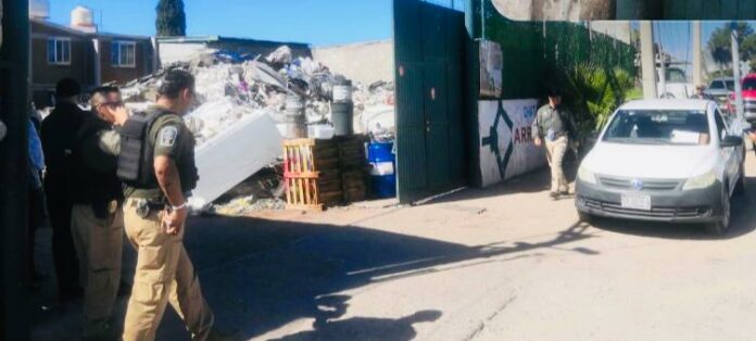 WhatsApp Image 2023-10-16 at 11.37.45 AM