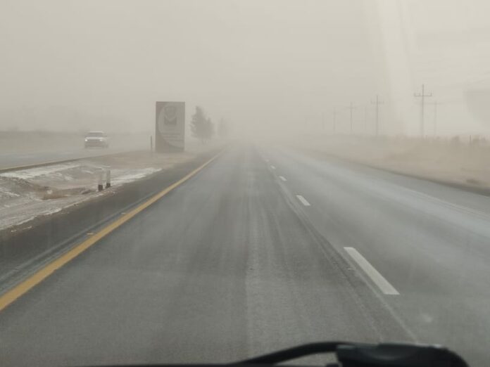 WhatsApp Image 2024-01-25 at 1.28.29 PM