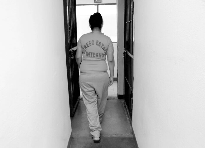 WhatsApp Image 2024-01-26 at 1.49.58 PM