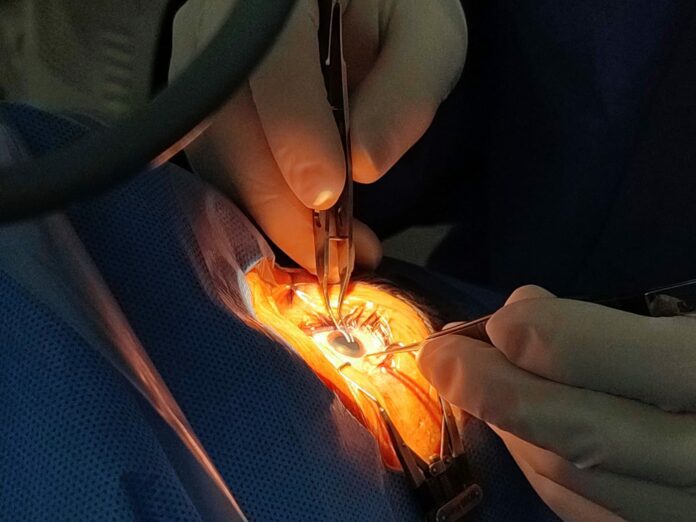 WhatsApp Image 2024-02-06 at 10.00.42 AM