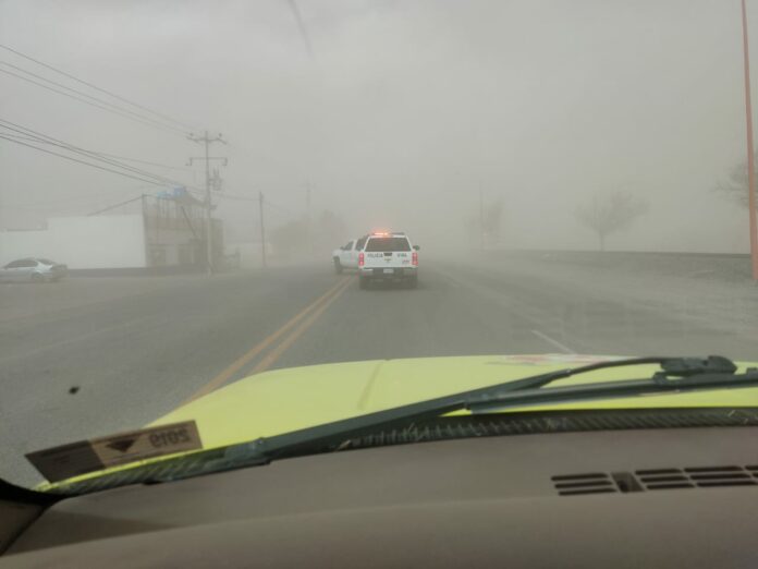 WhatsApp Image 2024-02-20 at 1.07.41 PM