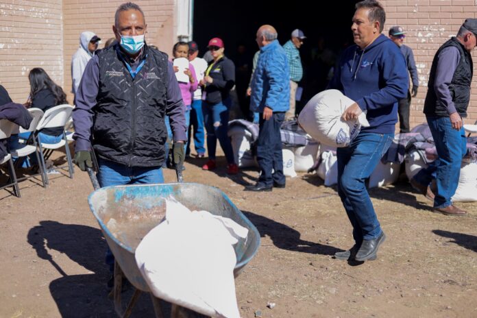 WhatsApp Image 2024-02-21 at 9.48.44 AM