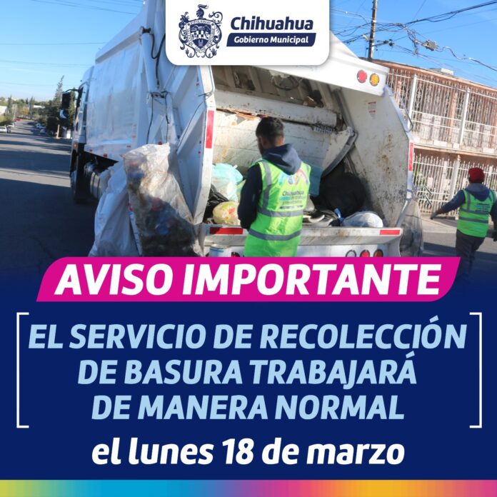 WhatsApp Image 2024-03-14 at 10.58.26 AM