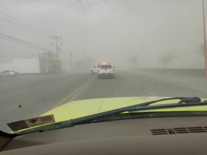 WhatsApp Image 2024-03-15 at 12.47.05 PM