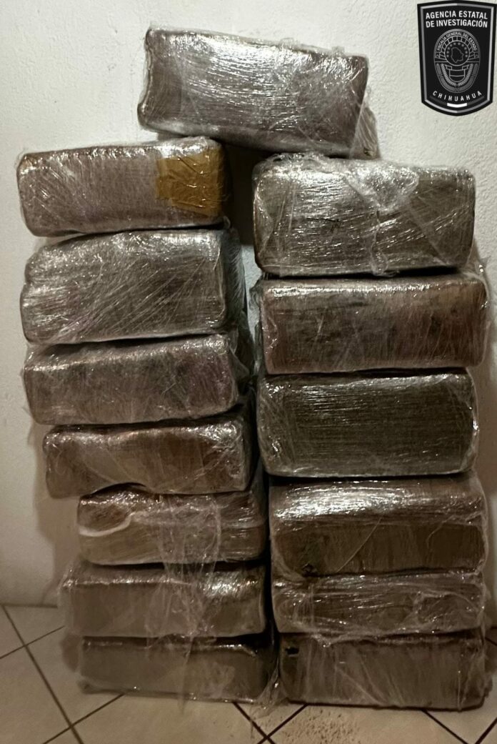 WhatsApp Image 2024-03-15 at 3.49.02 PM