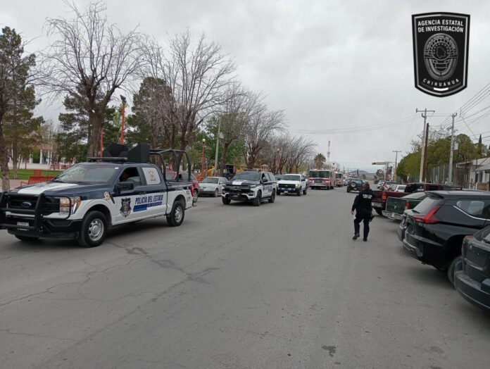 WhatsApp Image 2024-03-22 at 12.18.10 PM(1)